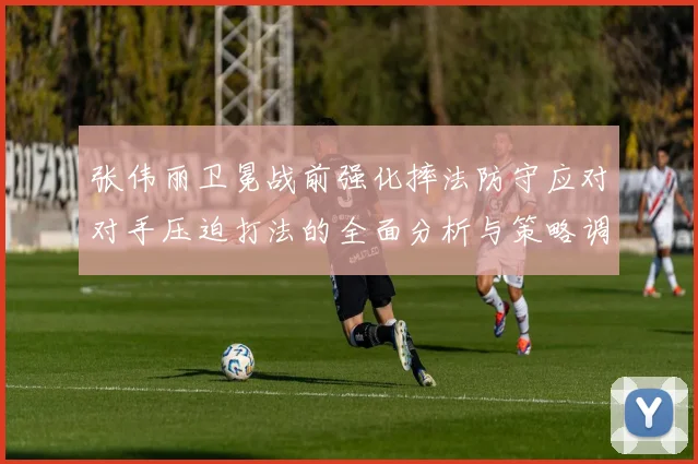 张伟丽卫冕战前强化摔法防守应对对手压迫打法的全面分析与策略调整